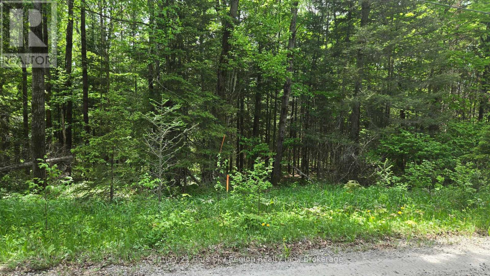 101 Rye Road, Nipissing, Ontario  P0H 1Z0 - Photo 25 - X13248448