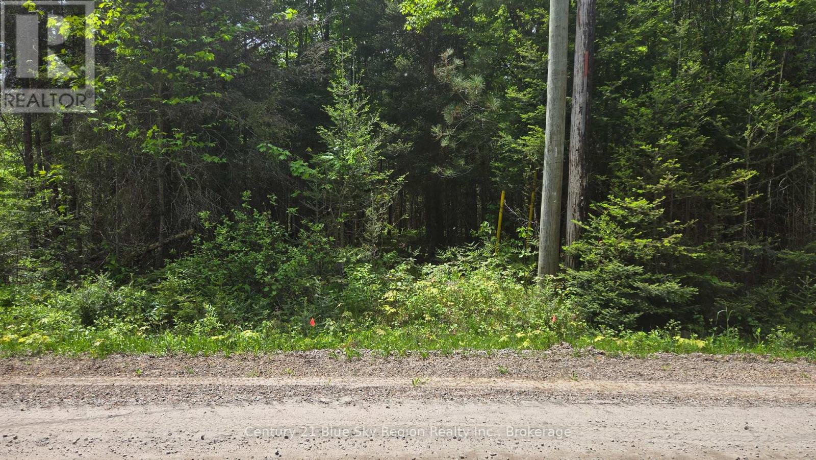101 Rye Road, Nipissing, Ontario  P0H 1Z0 - Photo 26 - X13248448