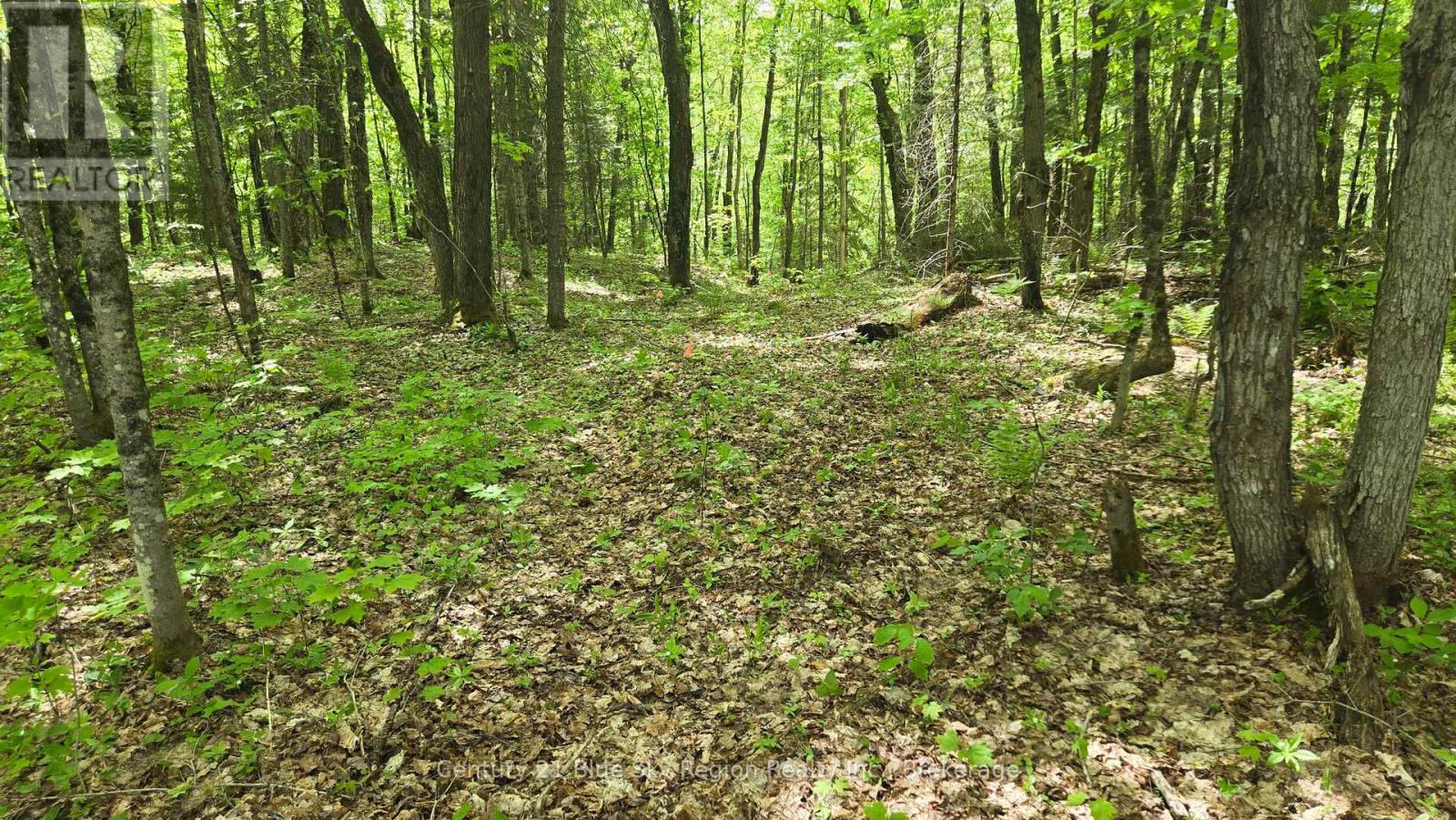 101 Rye Road, Nipissing, Ontario  P0H 1Z0 - Photo 29 - X13248448