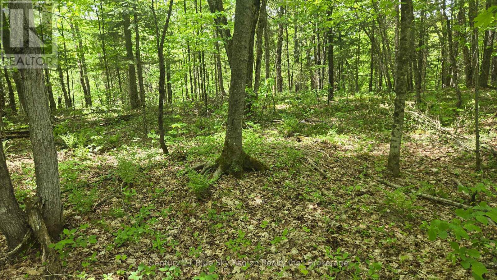 101 Rye Road, Nipissing, Ontario  P0H 1Z0 - Photo 30 - X13248448