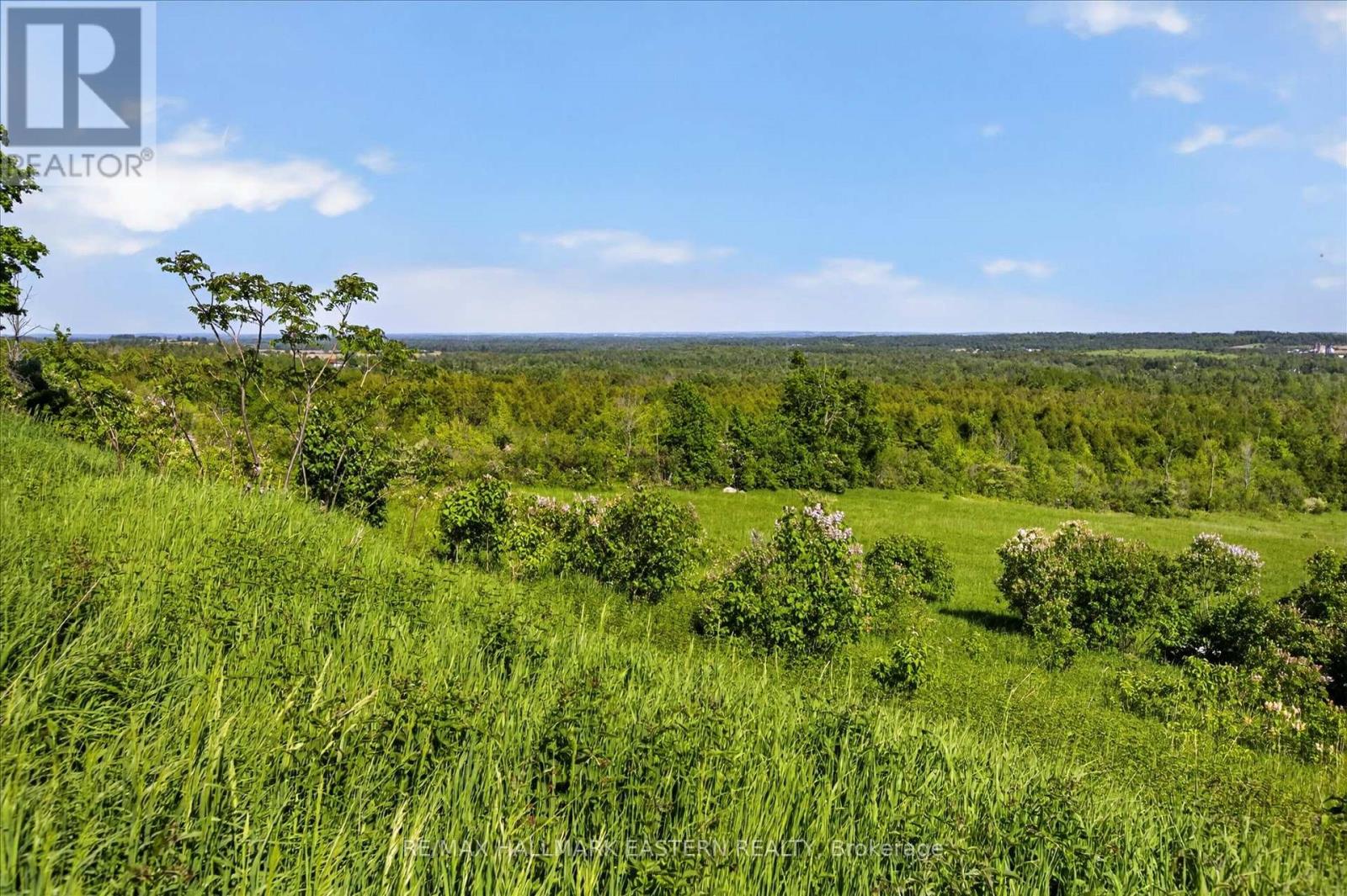 794 Morton Line, Cavan Monaghan, Ontario  L0A 1C0 - Photo 19 - X13248364