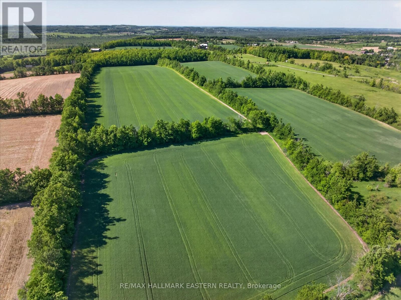 794 Morton Line, Cavan Monaghan, Ontario  L0A 1C0 - Photo 6 - X13248364