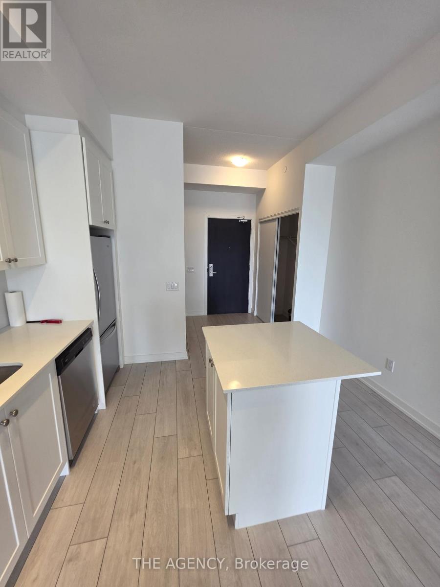 215 - 55 Duke Street, Kitchener, Ontario  N2H 0C9 - Photo 3 - X13248134