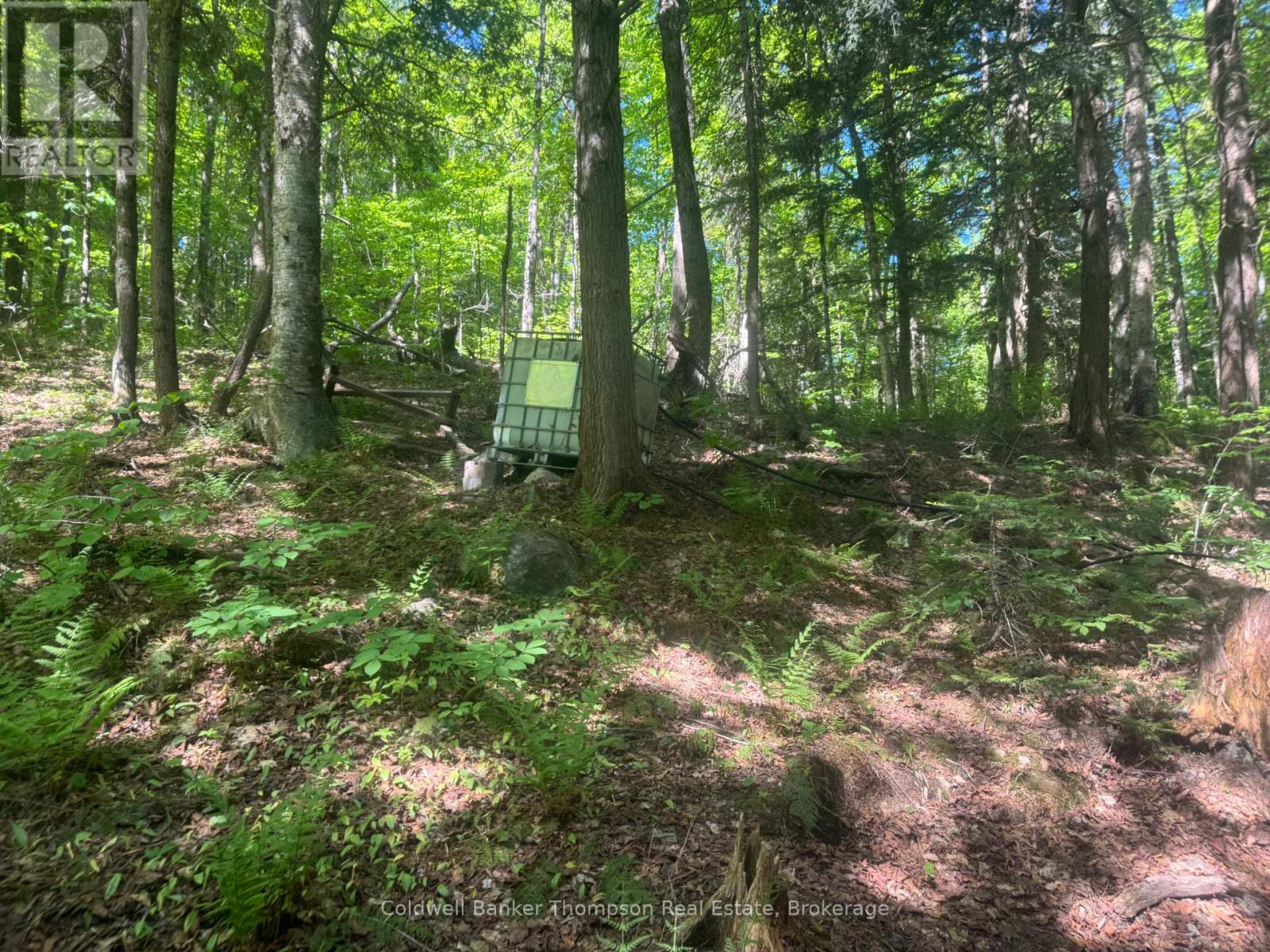 0 Island Lake, Kearney, Ontario  P0A 1M0 - Photo 16 - X13248352