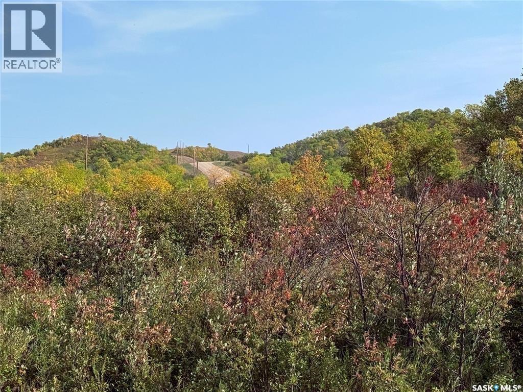 11.86 Acres Of Heaven, Lumsden Rm No. 189, Saskatchewan  S0G 0W0 - Photo 6 - SK038428