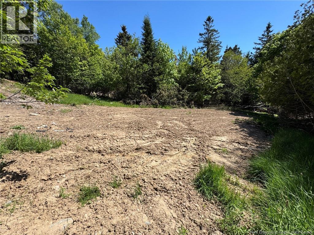 9 Calders Head Road, Calders Head, New Brunswick  E5V 1M8 - Photo 8 - NB141207
