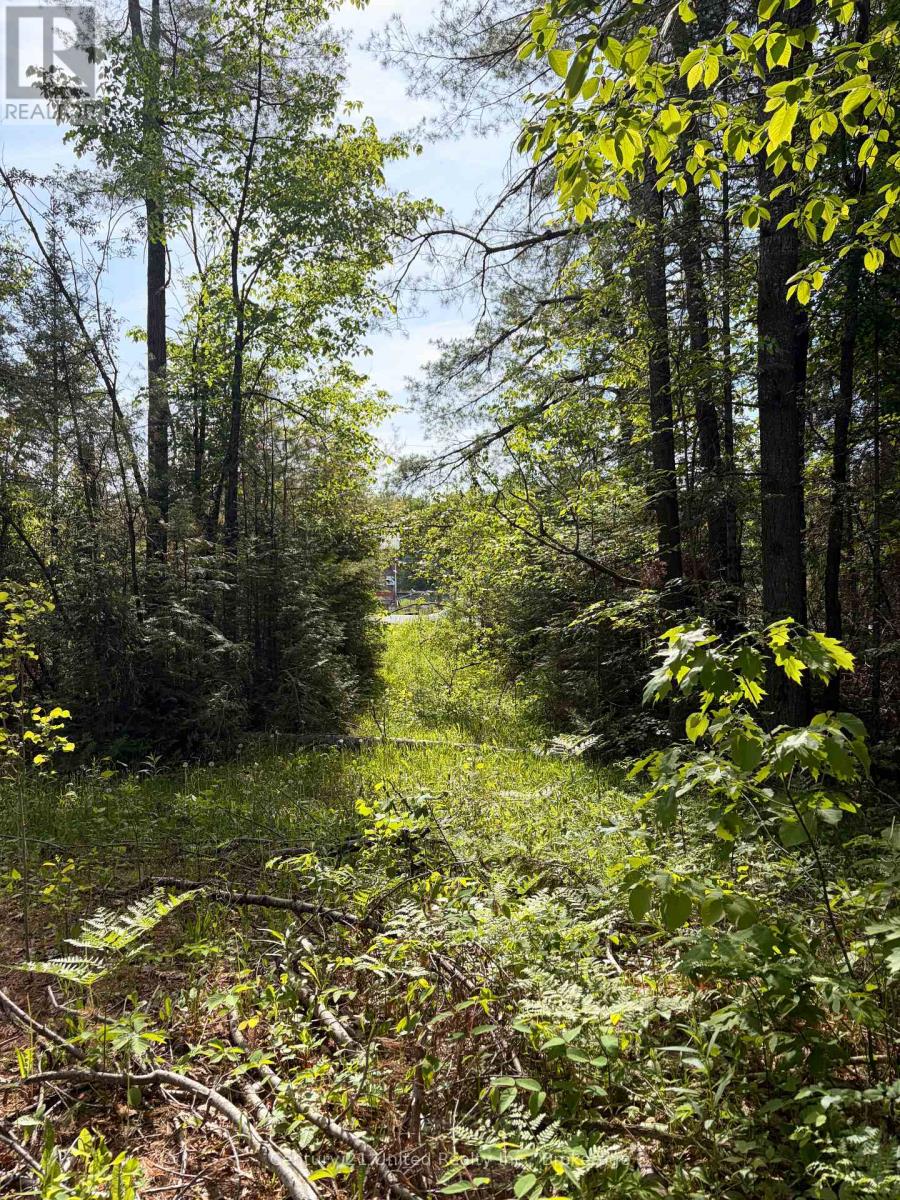 254 County Rd 620, North Kawartha, Ontario  K0L 1A0 - Photo 26 - X13246884