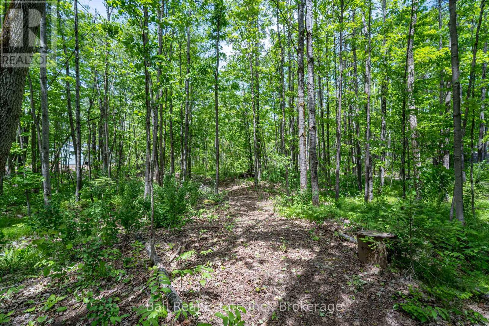 1741 Lakehurst Road, Trent Lakes, Ontario  K0L 2H0 - Photo 35 - X13249120