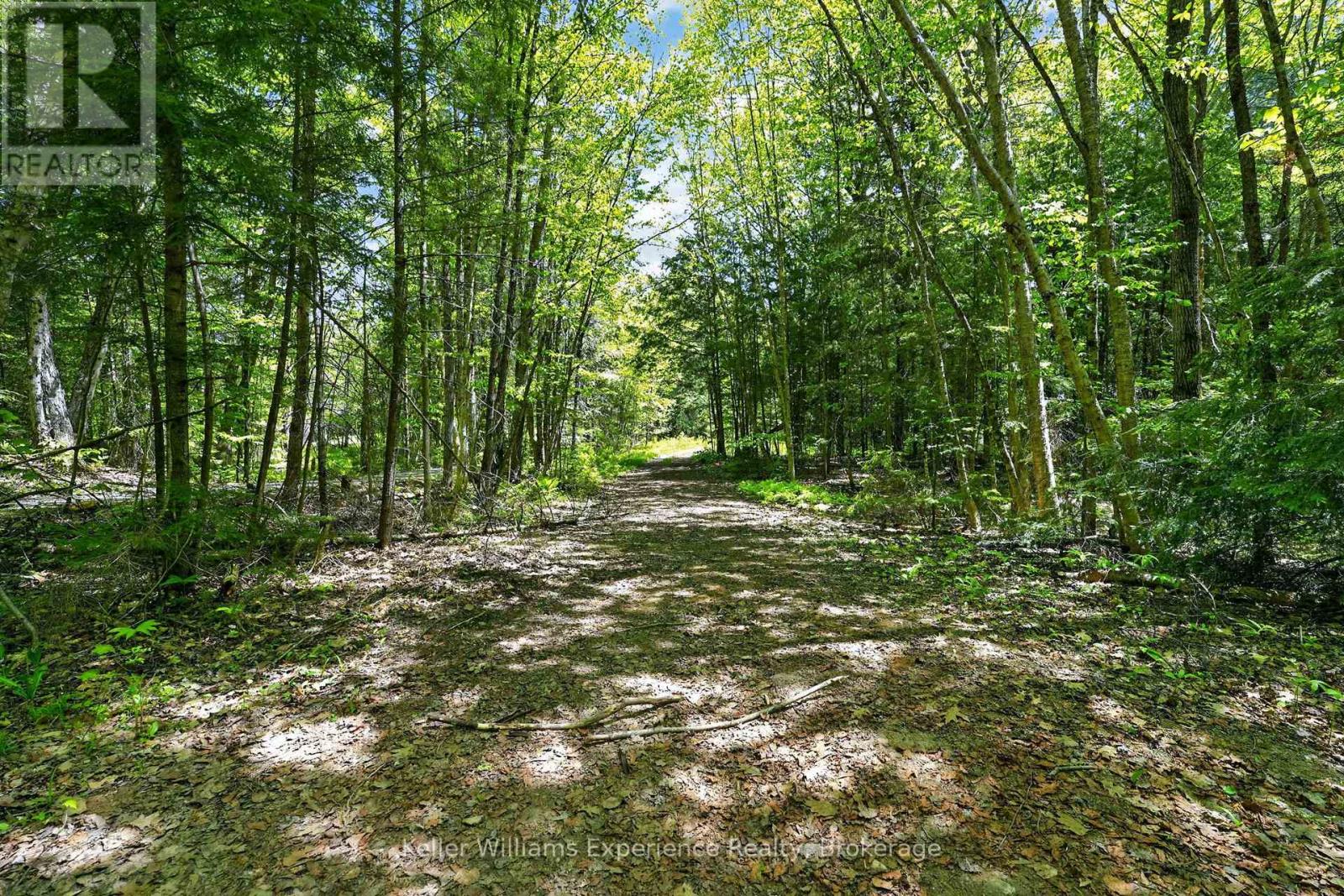 1077 Holiday Park Drive, Bracebridge, Ontario  P1L 1W9 - Photo 44 - X13248982