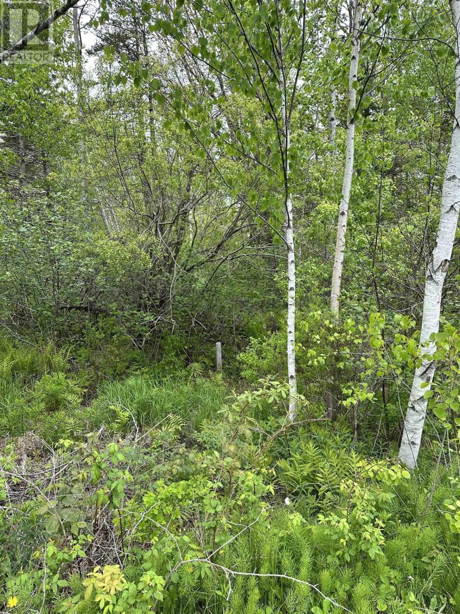 Lot 11 Cambridge Lane, Cambridge Cove, Cambridge, Nova Scotia  B0N 2R0 - Photo 4 - 202613069