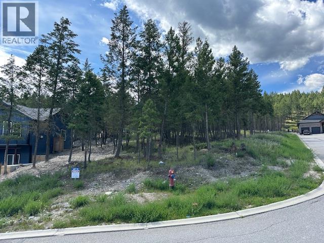 Pineridge Mountain Trail Lot# 74, Invermere, British Columbia  V0A 1K4 - Photo 4 - 10390377