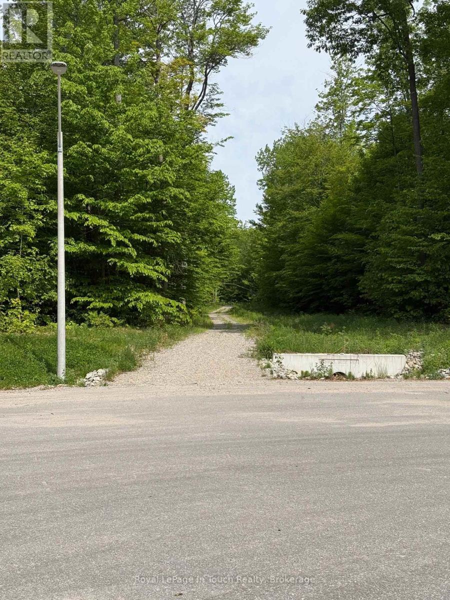 Lt 50 Whispering Pine Circle E, Tiny, Ontario  L9M 0C2 - Photo 3 - S13249366