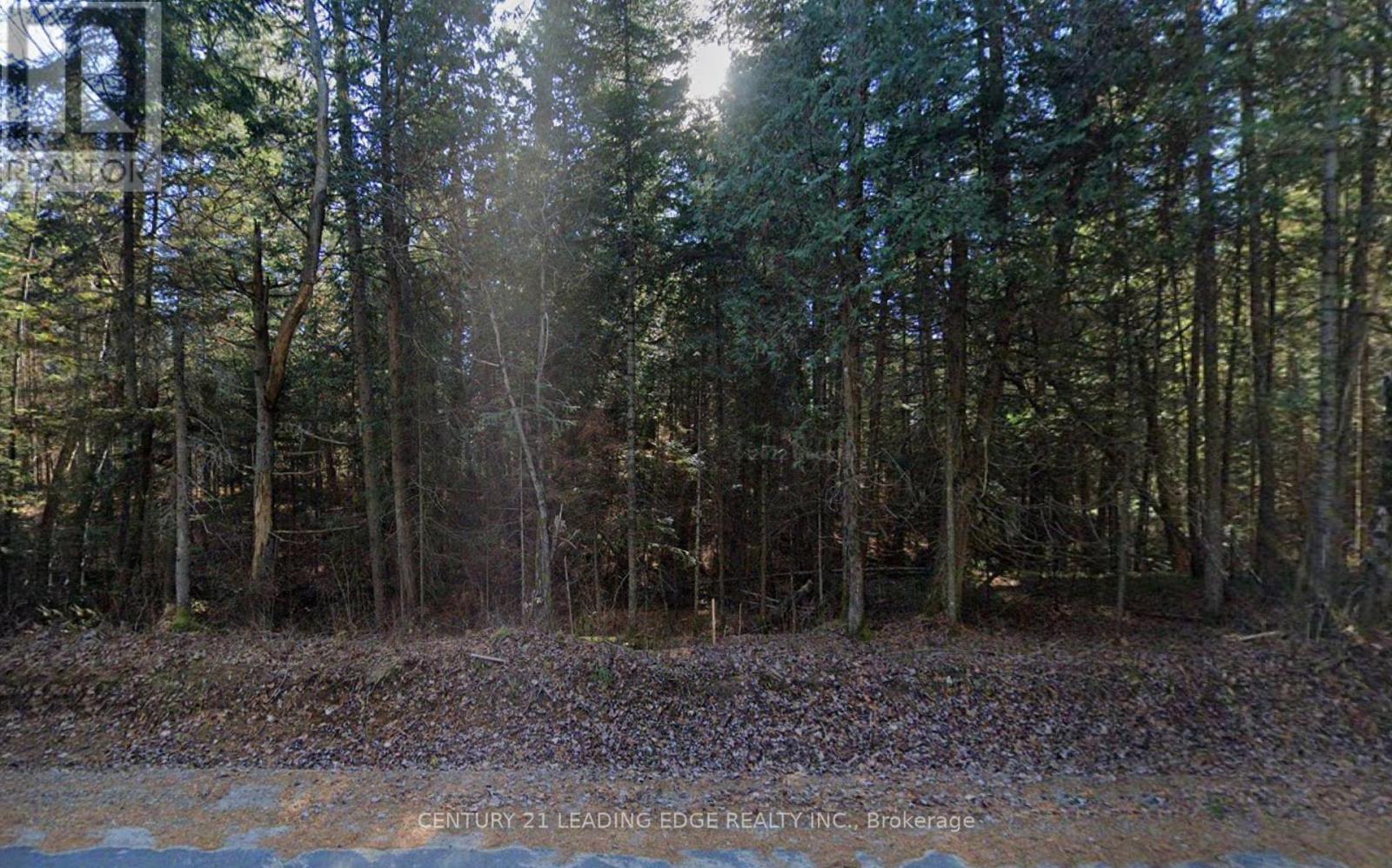 Na Dwight Beach Road, Lake Of Bays, Ontario  P0A 1H0 - Photo 4 - X13216460