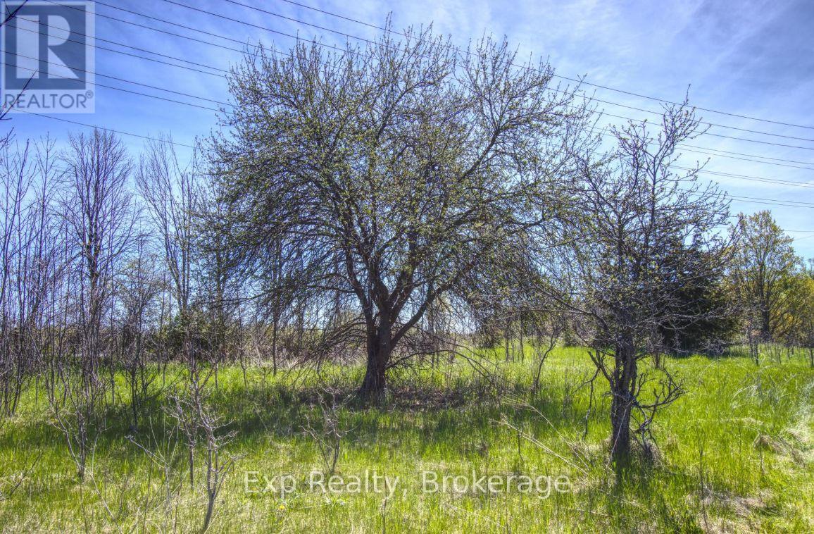 Lot 1 3rd Line Asphodel Line, Asphodel-Norwood, Ontario  L0L 1K0 - Photo 8 - X13249744
