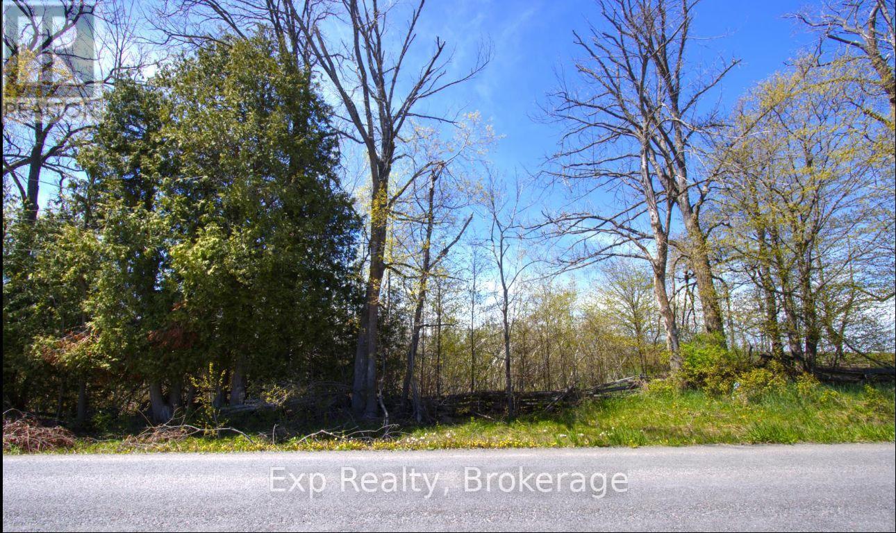 Lot 2 3rd Line Asphodel Line, Asphodel-Norwood, Ontario  L0L 2B0 - Photo 6 - X13249746