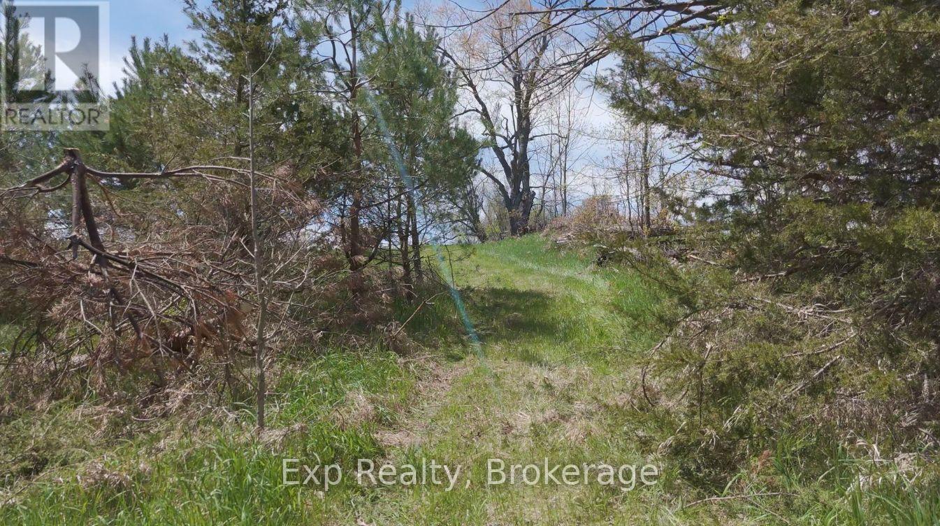 Lot 2 3rd Line Asphodel Line, Asphodel-Norwood, Ontario  L0L 2B0 - Photo 7 - X13249746