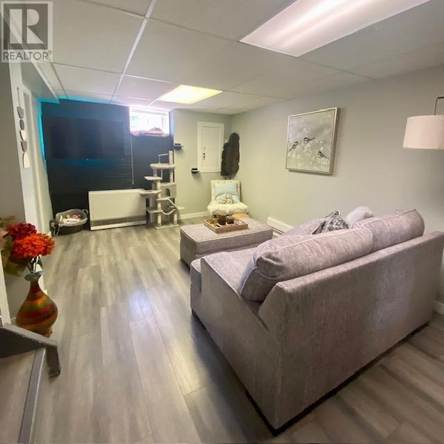 611 Daneff Cres, Geraldton, Ontario  P0T 1M0 - Photo 3 - TB2601337
