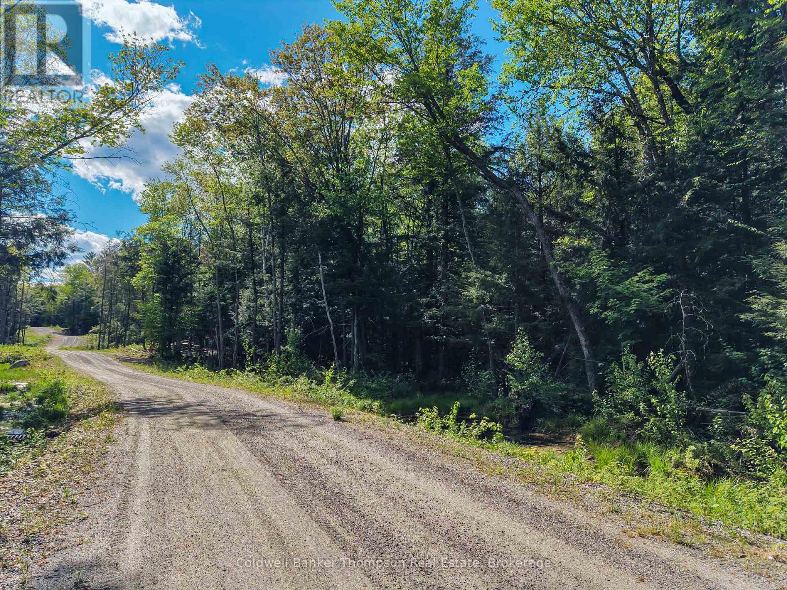 30 Lake Vision Road, Mcmurrich/monteith, Ontario  P0A 1Y0 - Photo 10 - X13249538