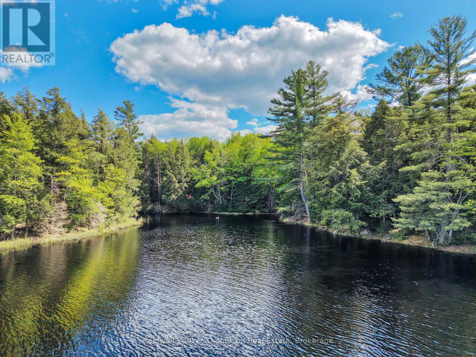 30 Lake Vision Road, Mcmurrich/monteith, Ontario  P0A 1Y0 - Photo 15 - X13249538