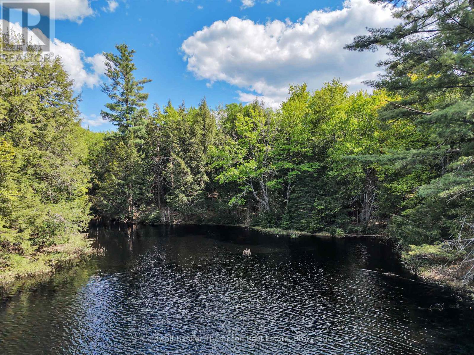 30 Lake Vision Road, Mcmurrich/monteith, Ontario  P0A 1Y0 - Photo 16 - X13249538