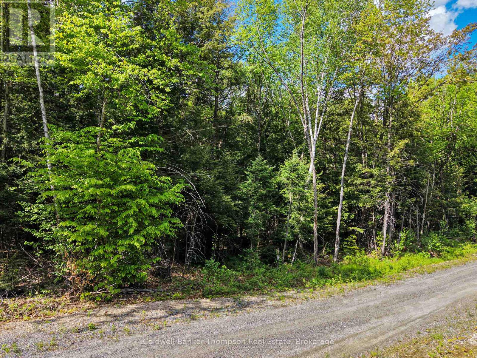30 Lake Vision Road, Mcmurrich/monteith, Ontario  P0A 1Y0 - Photo 8 - X13249538