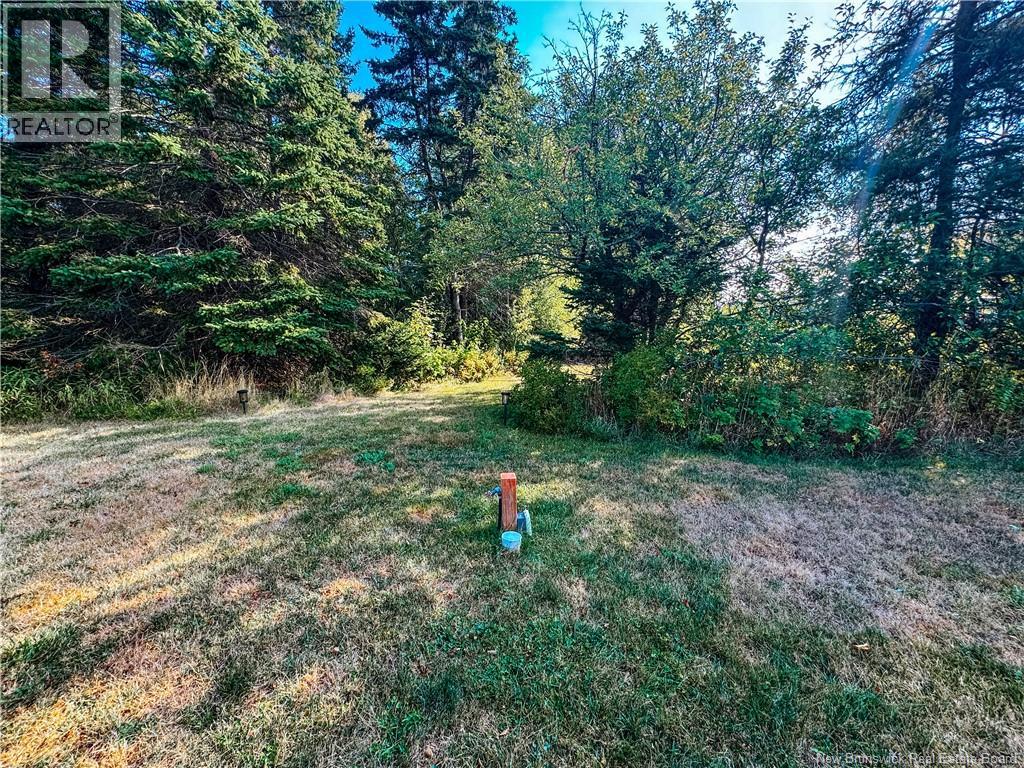78 Irwin's Point Road, Baie Verte, New Brunswick E4M 1J9 - Photo 21 - NB141232