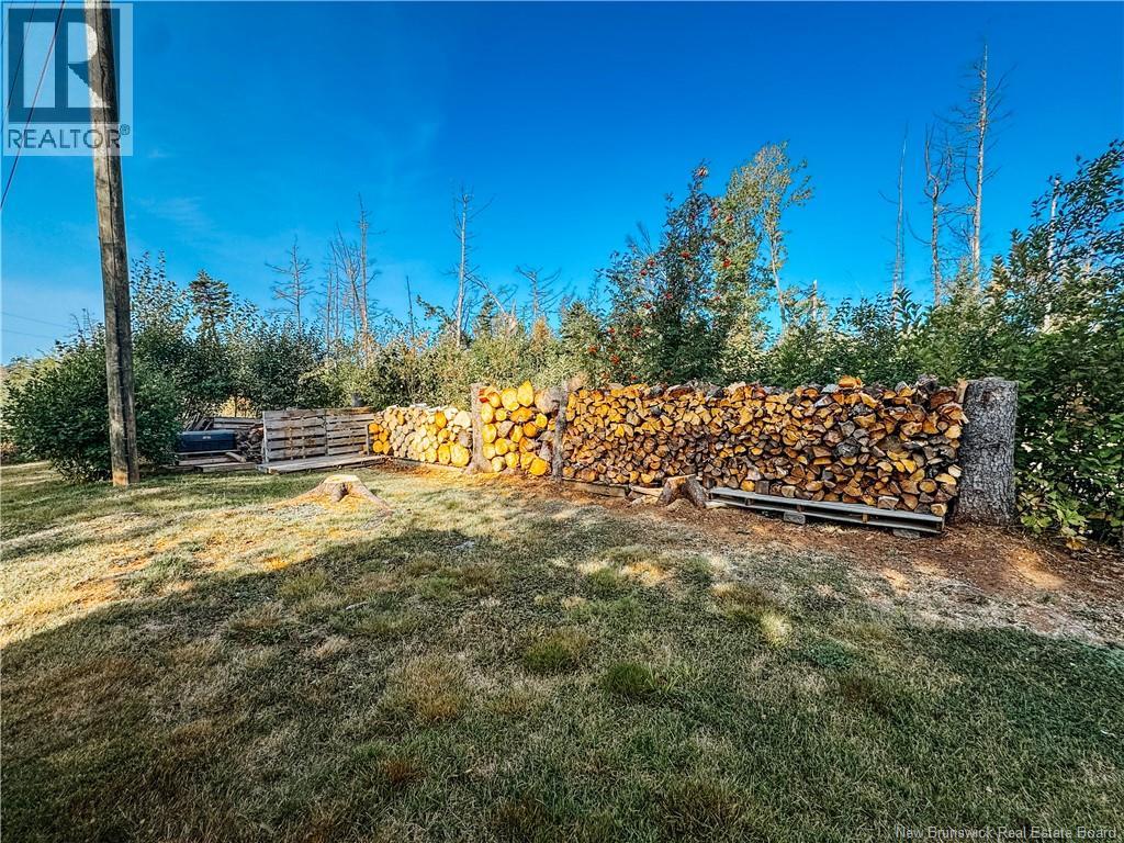 78 Irwin's Point Road, Baie Verte, New Brunswick E4M 1J9 - Photo 12 - NB141232
