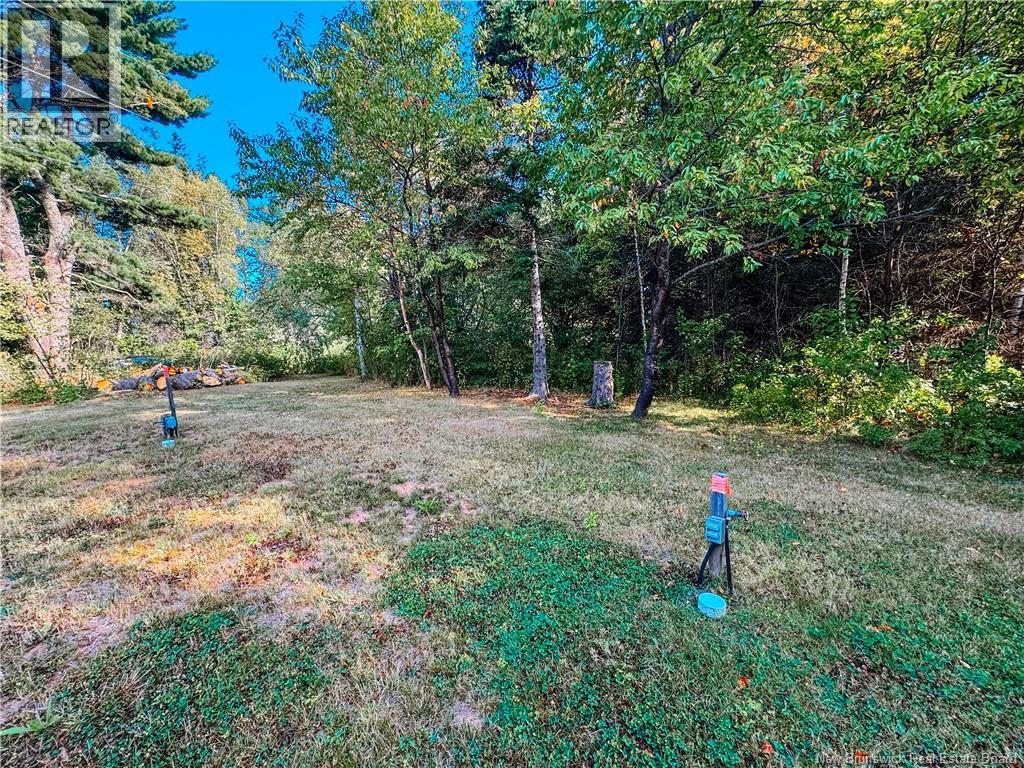 78 Irwin's Point Road, Baie Verte, New Brunswick E4M 1J9 - Photo 18 - NB141232