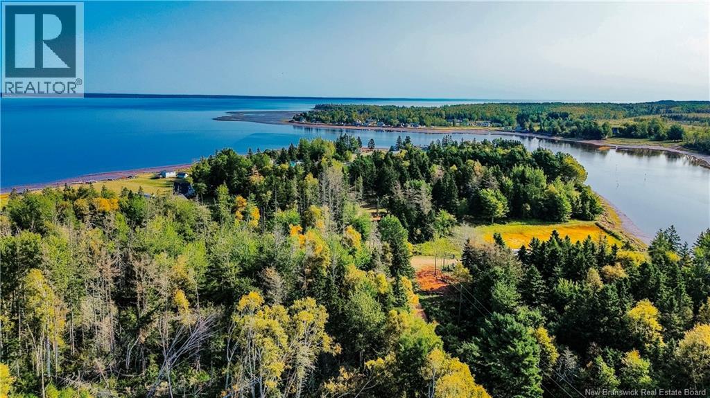 78 Irwin's Point Road, Baie Verte, New Brunswick E4M 1J9 - Photo 10 - NB141232