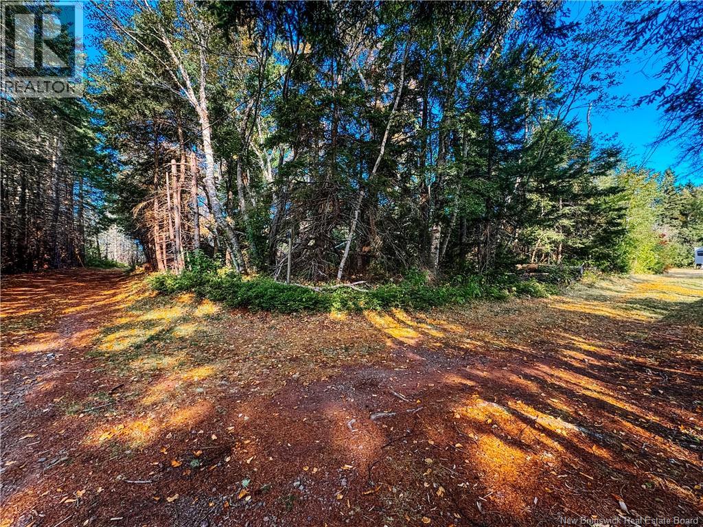 78 Irwin's Point Road, Baie Verte, New Brunswick E4M 1J9 - Photo 19 - NB141232