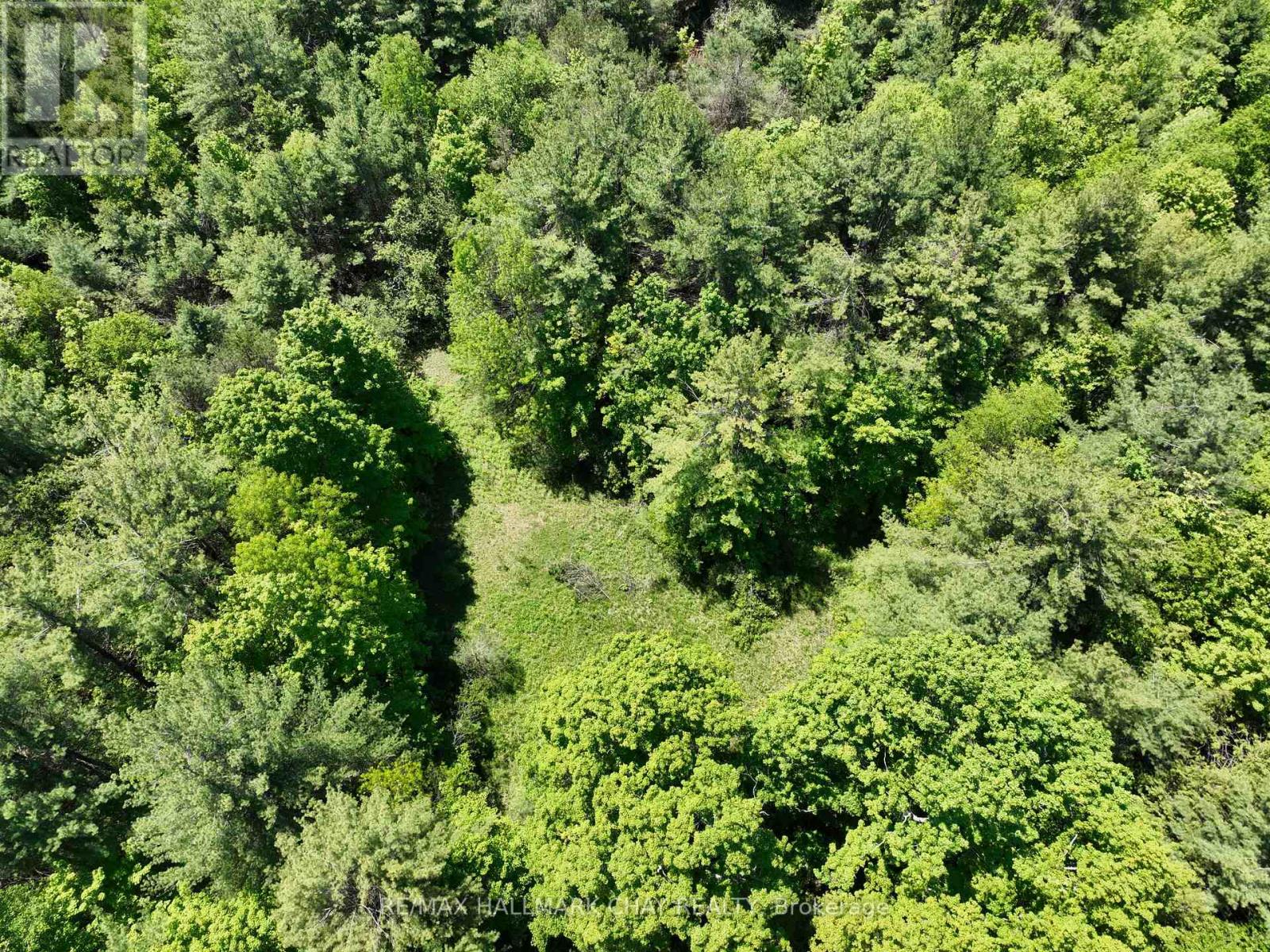 1676 OLD SECOND ROAD S, Springwater, Ontario