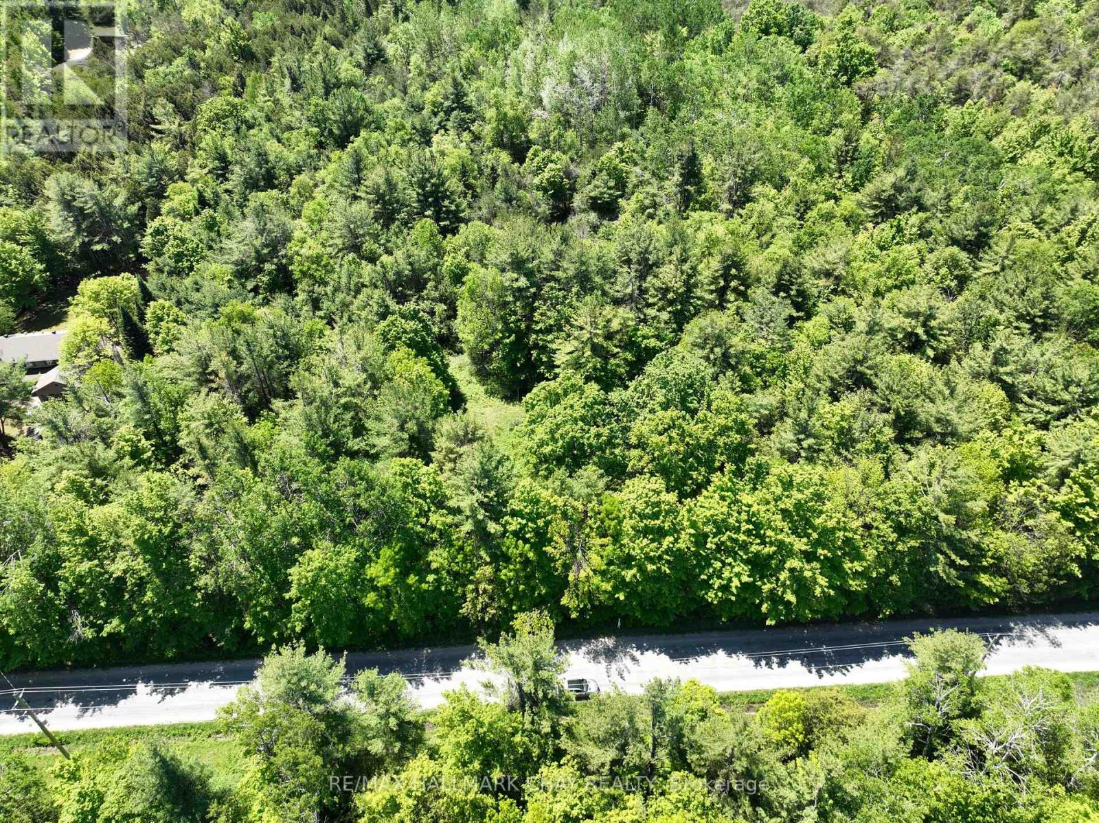 1676 Old Second Road S, Springwater, Ontario  L9X 1P1 - Photo 12 - S13249648