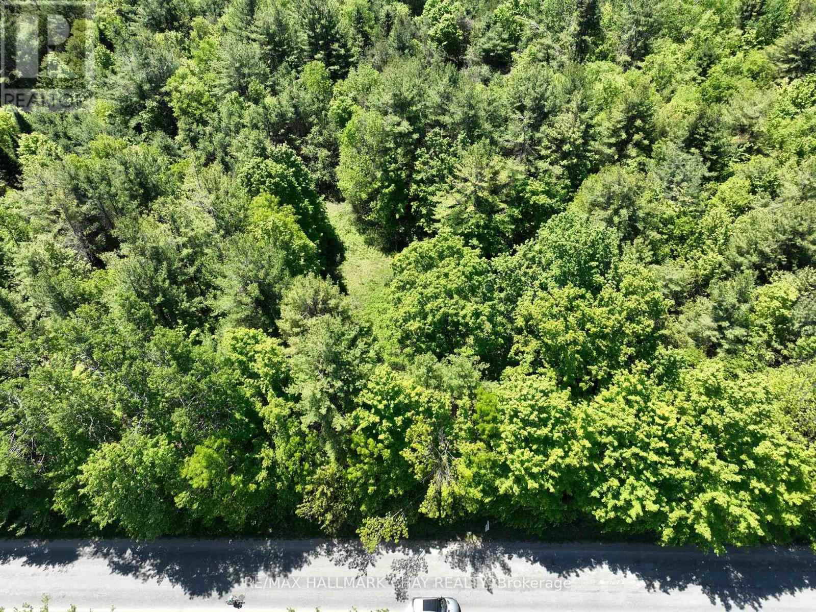 1676 Old Second Road S, Springwater, Ontario  L9X 1P1 - Photo 2 - S13249648
