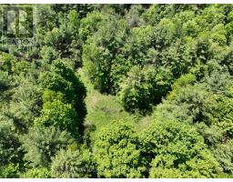 1676 OLD SECOND ROAD S, Springwater, Ontario