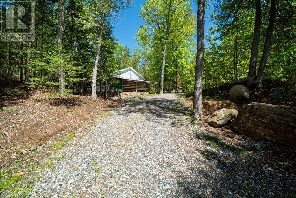 5317 Ardoch Road, Frontenac, Ontario  K0H 1C0 - Photo 44 - X13249796
