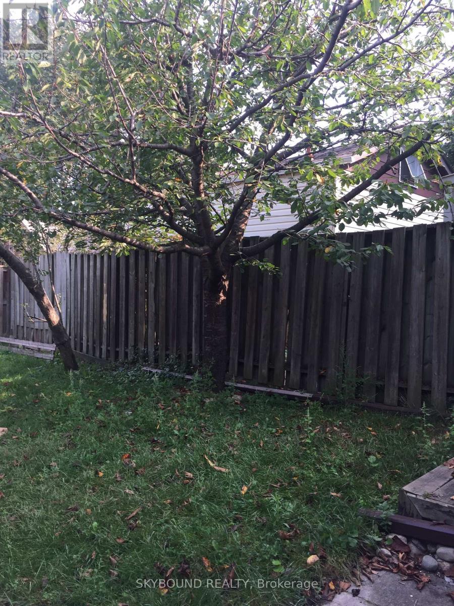 Basement - 354 St Johns Road, Toronto, Ontario  M6S 2K7 - Photo 20 - W13249646