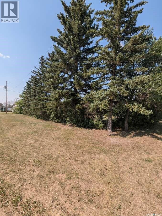 106 Lincoln Street, Aylesbury, Saskatchewan  S0G 0B0 - Photo 5 - SK038467