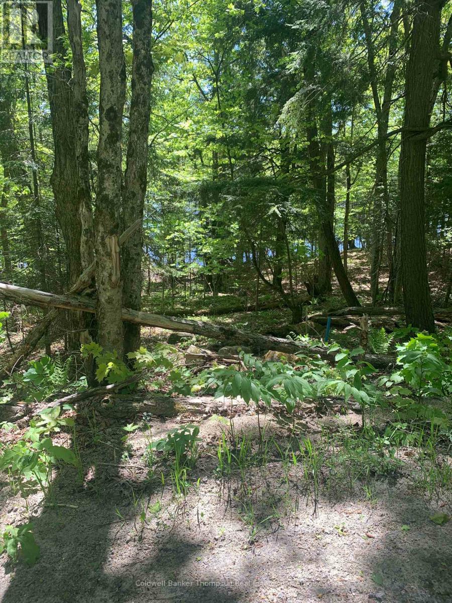 00 WURM ROAD, Magnetawan, Ontario