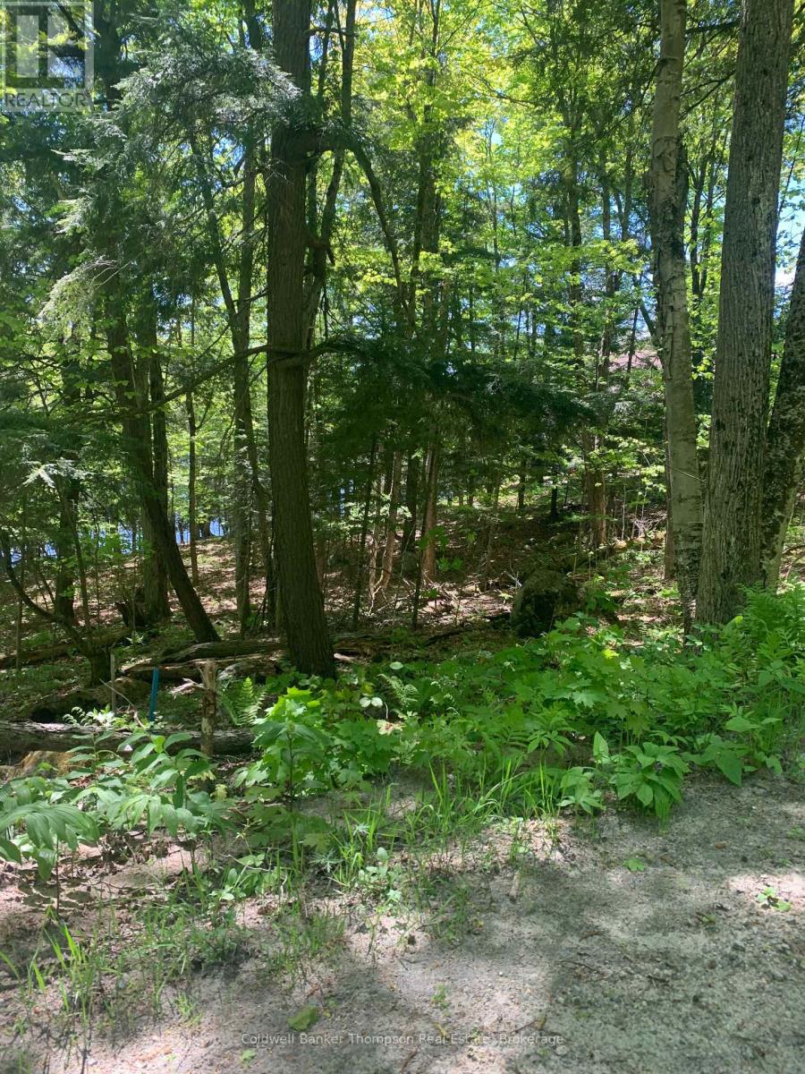 00 Wurm Road, Magnetawan, Ontario  P0A 1P0 - Photo 2 - X13250170
