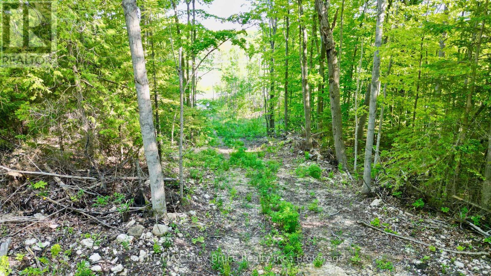 R96870 - 150 Clarkes Road E, Northern Bruce Peninsula, Ontario  N0H 1W0 - Photo 10 - X13250362