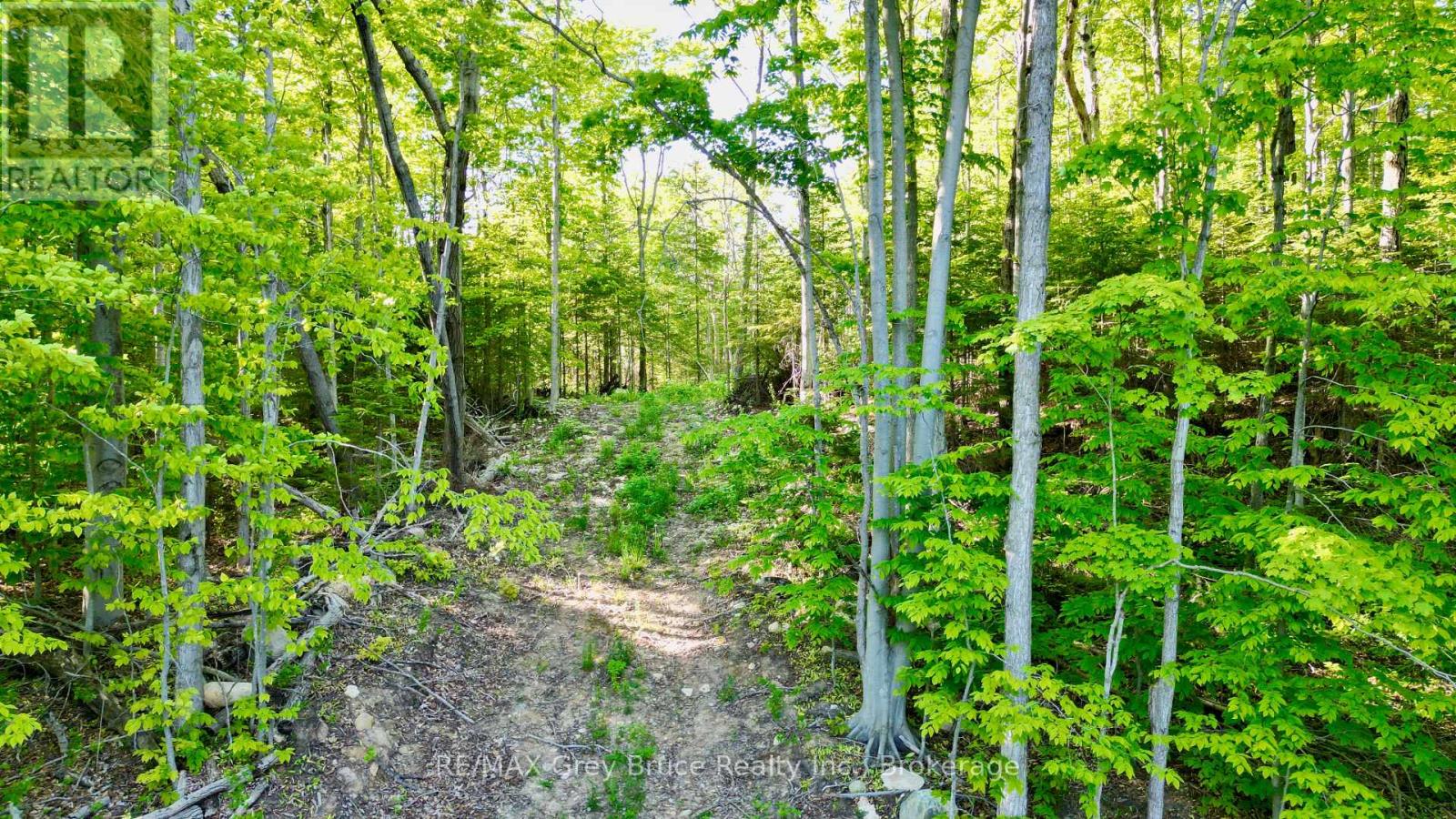 R96870 - 150 Clarkes Road E, Northern Bruce Peninsula, Ontario  N0H 1W0 - Photo 11 - X13250362