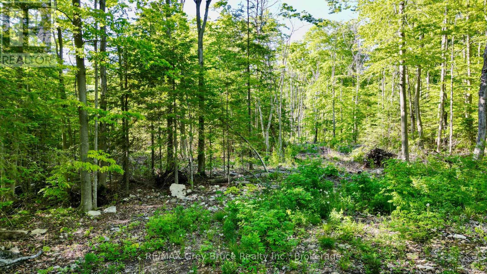 R96870 - 150 Clarkes Road E, Northern Bruce Peninsula, Ontario  N0H 1W0 - Photo 12 - X13250362