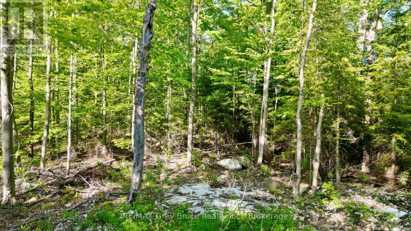 R96870 - 150 Clarkes Road E, Northern Bruce Peninsula, Ontario  N0H 1W0 - Photo 13 - X13250362