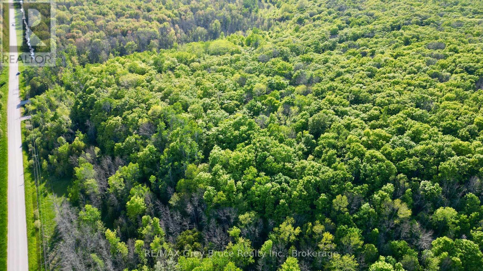R96870 - 150 Clarkes Road E, Northern Bruce Peninsula, Ontario  N0H 1W0 - Photo 15 - X13250362