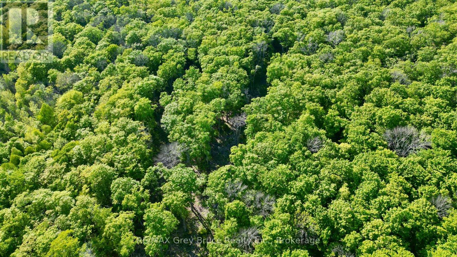 R96870 - 150 Clarkes Road E, Northern Bruce Peninsula, Ontario  N0H 1W0 - Photo 17 - X13250362