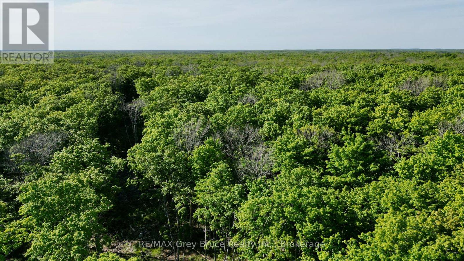 R96870 - 150 Clarkes Road E, Northern Bruce Peninsula, Ontario  N0H 1W0 - Photo 18 - X13250362