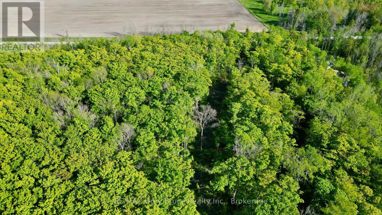R96870 - 150 Clarkes Road E, Northern Bruce Peninsula, Ontario  N0H 1W0 - Photo 19 - X13250362