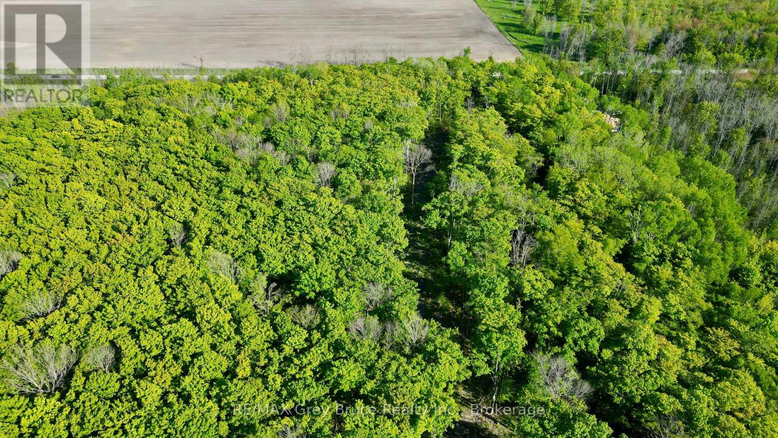 R96870 - 150 Clarkes Road E, Northern Bruce Peninsula, Ontario  N0H 1W0 - Photo 20 - X13250362