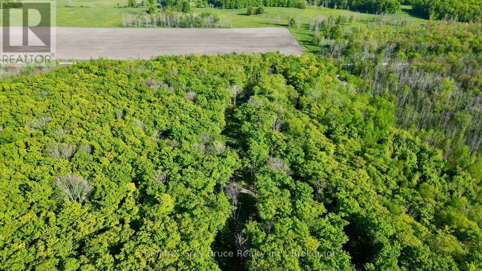 R96870 - 150 Clarkes Road E, Northern Bruce Peninsula, Ontario  N0H 1W0 - Photo 22 - X13250362