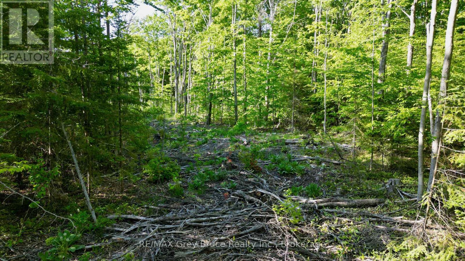 R96870 - 150 Clarkes Road E, Northern Bruce Peninsula, Ontario  N0H 1W0 - Photo 24 - X13250362